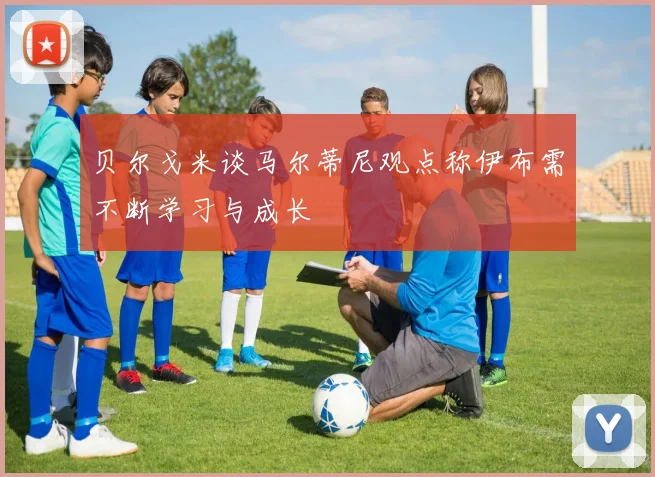 贝尔戈米谈马尔蒂尼观点称伊布需不断学习与成长