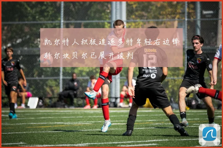 凯尔特人积极追逐多特年轻右边锋科尔坎贝尔已展开谈判