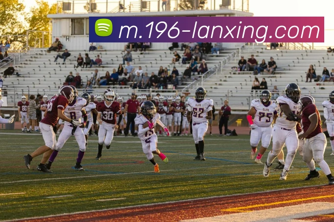 未来规划