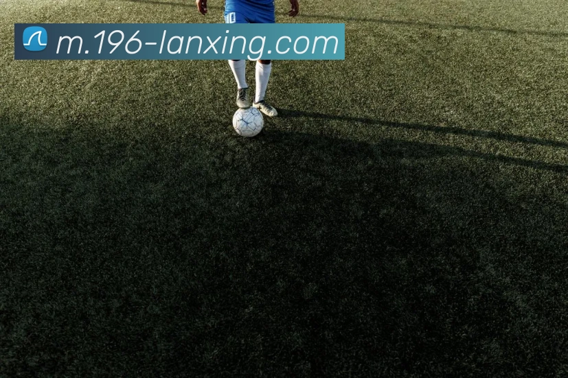 App Interface Preview